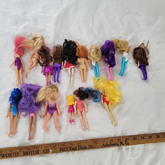 Mattel Barbie Lot of 16 Little Sister Dolls with Other Assorted Dolls - Picture 2 of 13